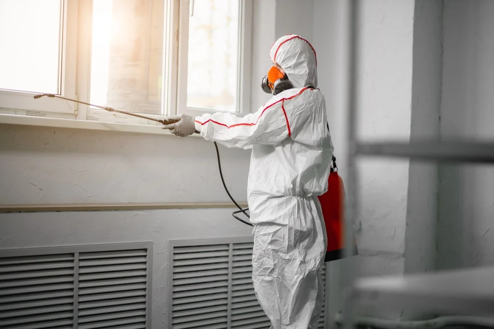 Professional mold remediation services in Paw Paw, IL